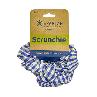 Summer Scrunchie - 2 Pack