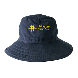 Hybrid Hat