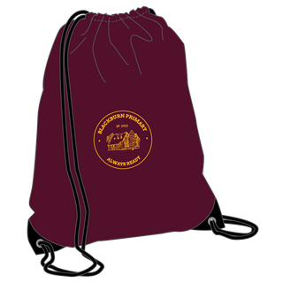 Reader Bag