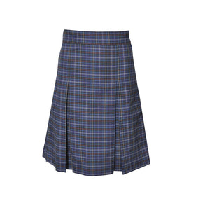 Winter Skirt