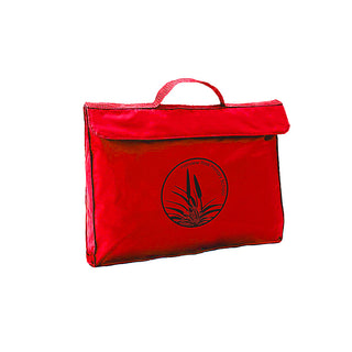 Library Bag